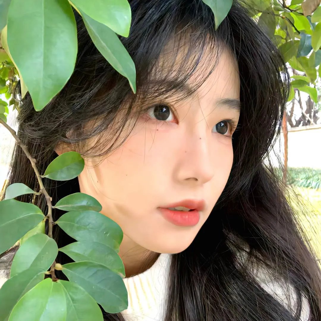 如月疑云