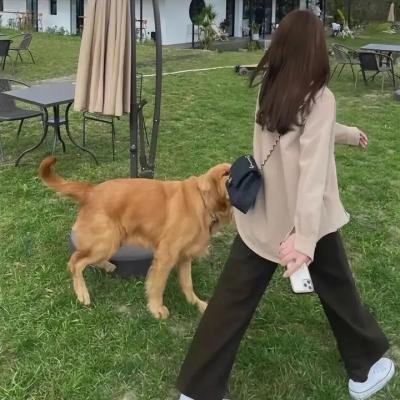 潜藏敌影
